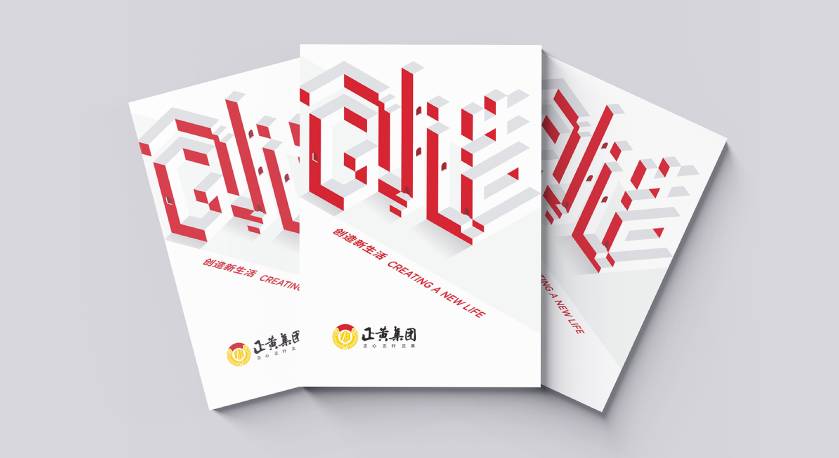 大东区宣传册设计：以精准触达，奏响城市发展的时代旋律